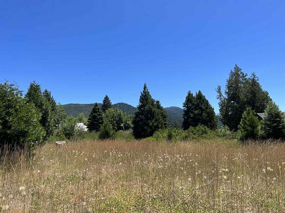 0.33 Acres of Residential Land for Sale in Hamilton Branch, California