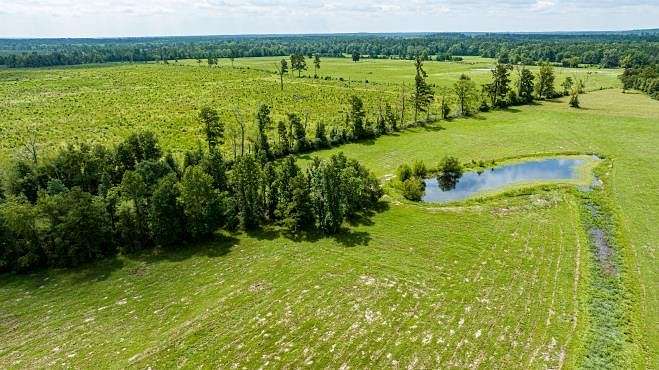 7.5 Acres of Land for Sale in Apple Springs, Texas