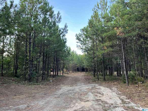 3.8 Acres of Commercial Land for Sale in Clay, Alabama