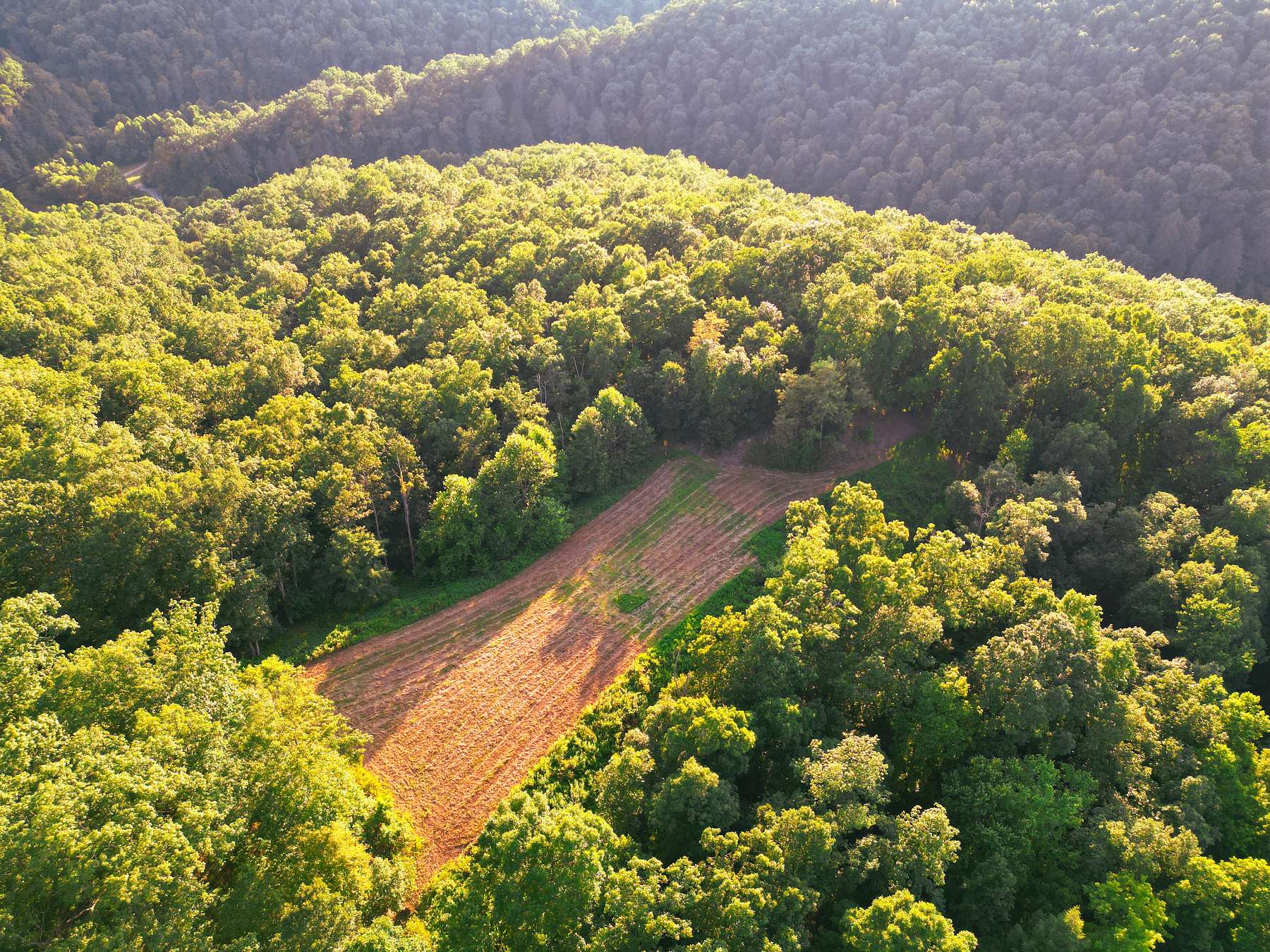 156 Acres of Recreational Land & Farm for Sale in Branchland, West Virginia