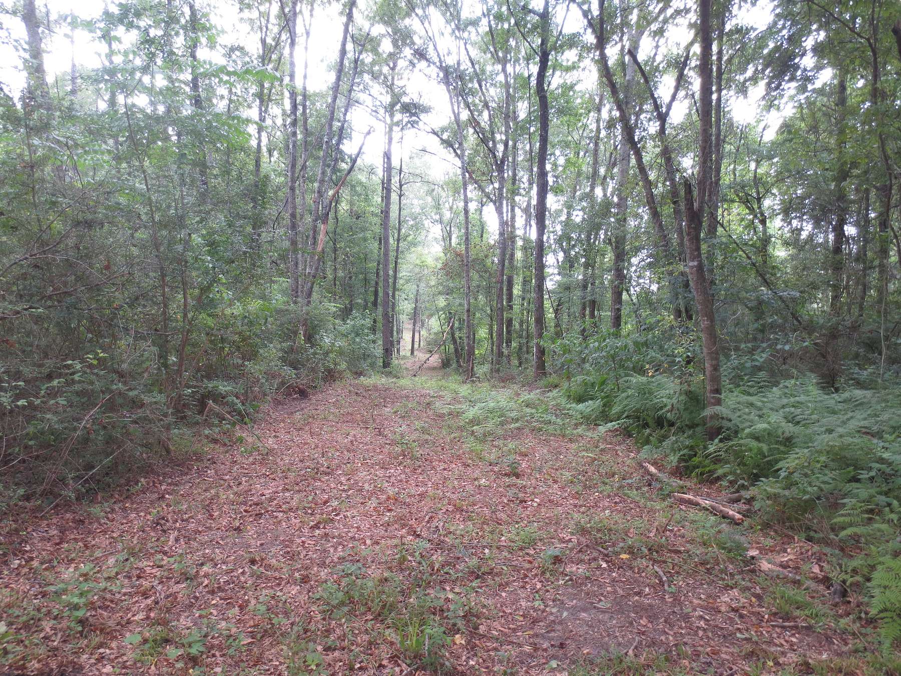 44 Acres of Recreational Land for Sale in Columbia, Mississippi