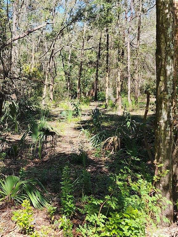 0.31 Acres of Residential Land for Sale in Crystal River, Florida