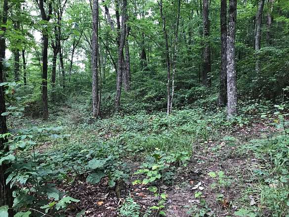 2.4 Acres of Residential Land for Sale in Dunlap, Tennessee