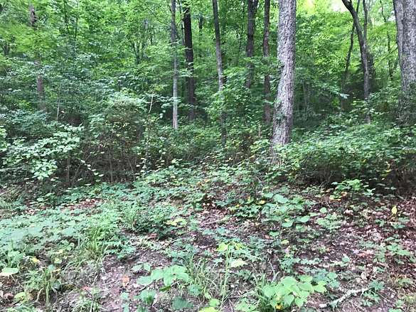 2.4 Acres of Residential Land for Sale in Dunlap, Tennessee - LandSearch