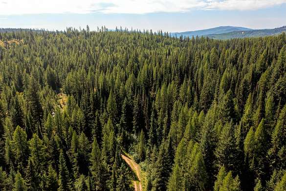 101 Acres of Recreational Land for Sale in Trego, Montana