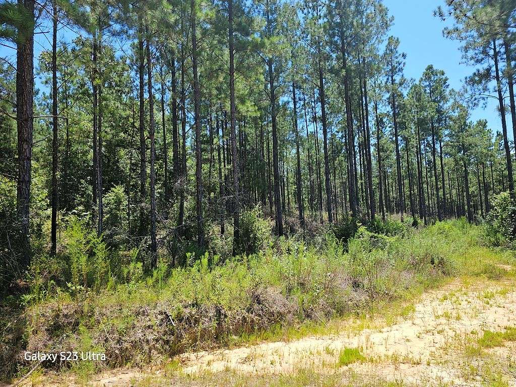 17 Acres of Recreational Land for Sale in Clayton, Alabama
