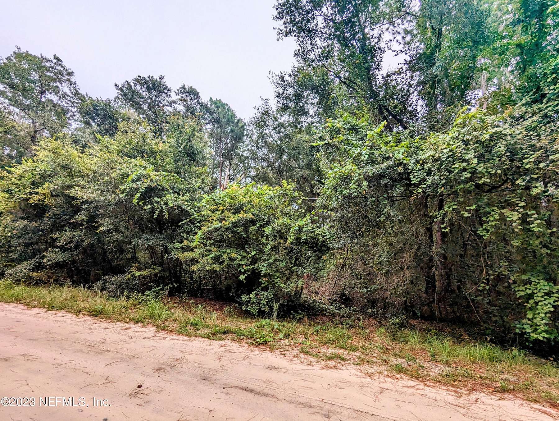 1.5 Acres of Residential Land for Sale in Keystone Heights, Florida