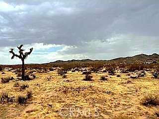5 Acres of Land for Sale in Joshua Tree, California