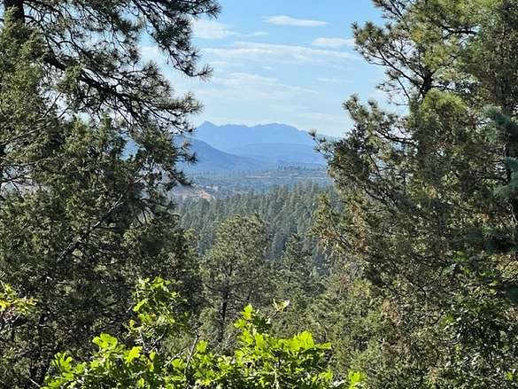 15.6 Acres of Land for Sale in Chama, New Mexico