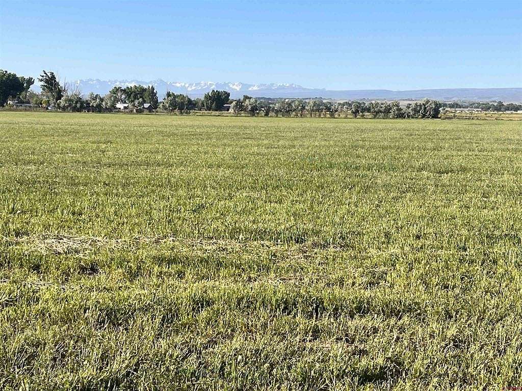 122 Acres of Agricultural Land for Sale in Olathe, Colorado