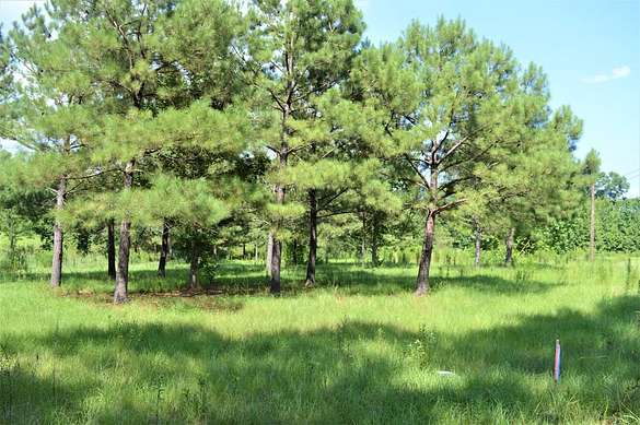 5 Acres of Land for Sale in McComb, Mississippi