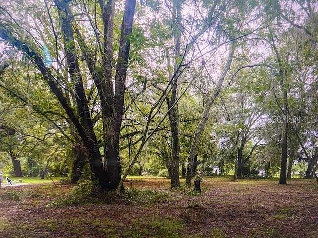1.1 Acres of Residential Land for Sale in Hampton, Florida