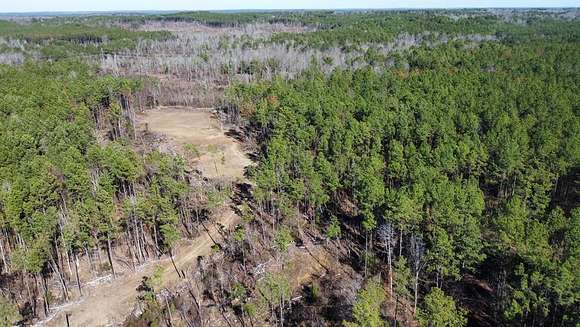 105 Acres of Recreational Land for Sale in Braxton, Mississippi