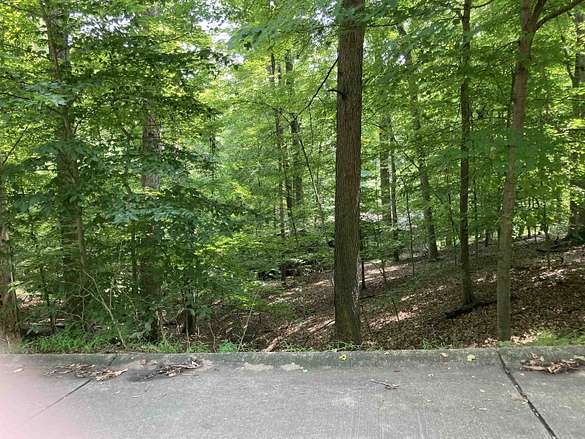 Residential Land for Sale in Huntington, West Virginia