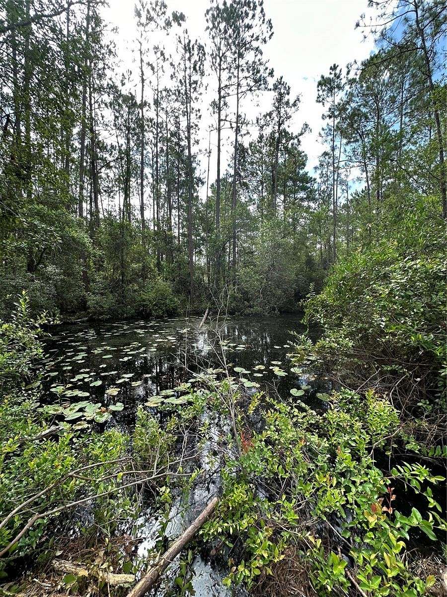 0.98 Acres of Residential Land for Sale in Fort McCoy, Florida