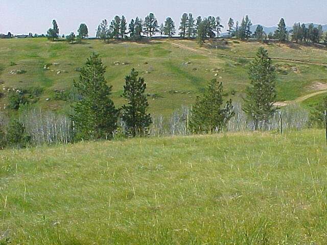11 Acres of Land for Sale in Lewistown, Montana