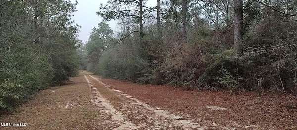 0.26 Acres of Residential Land for Sale in Lumberton, Mississippi