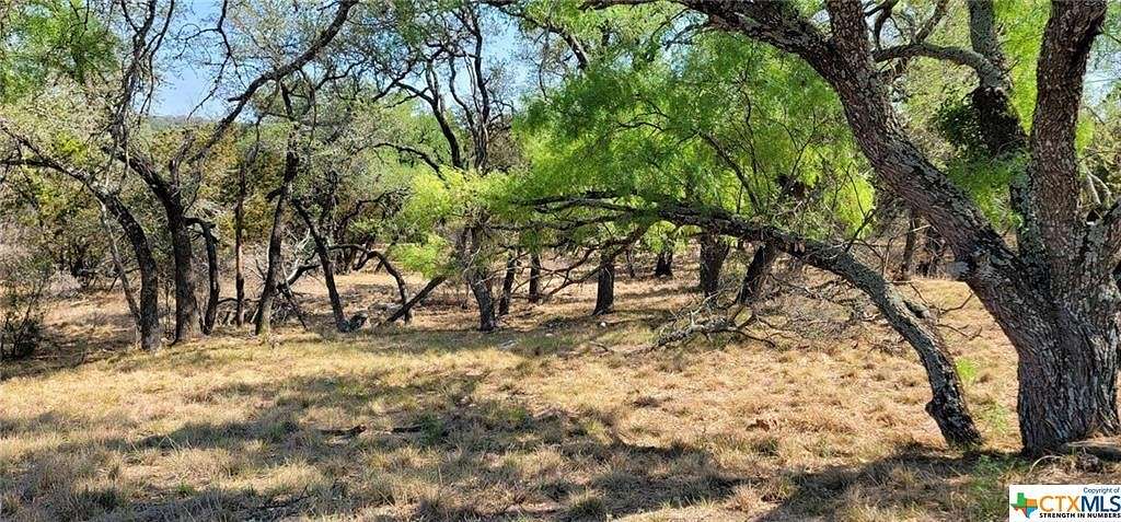 0.238 Acres of Residential Land for Sale in Horseshoe Bay, Texas