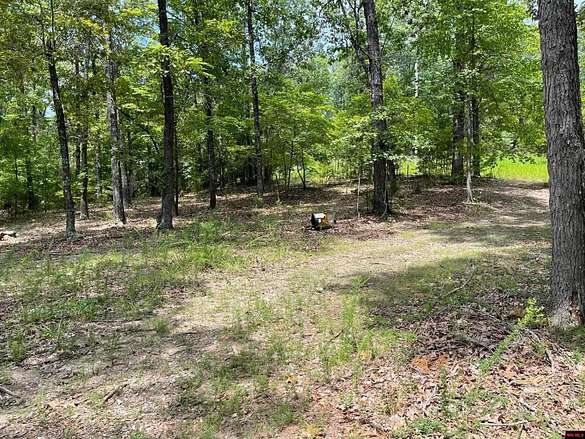 3.5 Acres of Land for Sale in Flippin, Arkansas