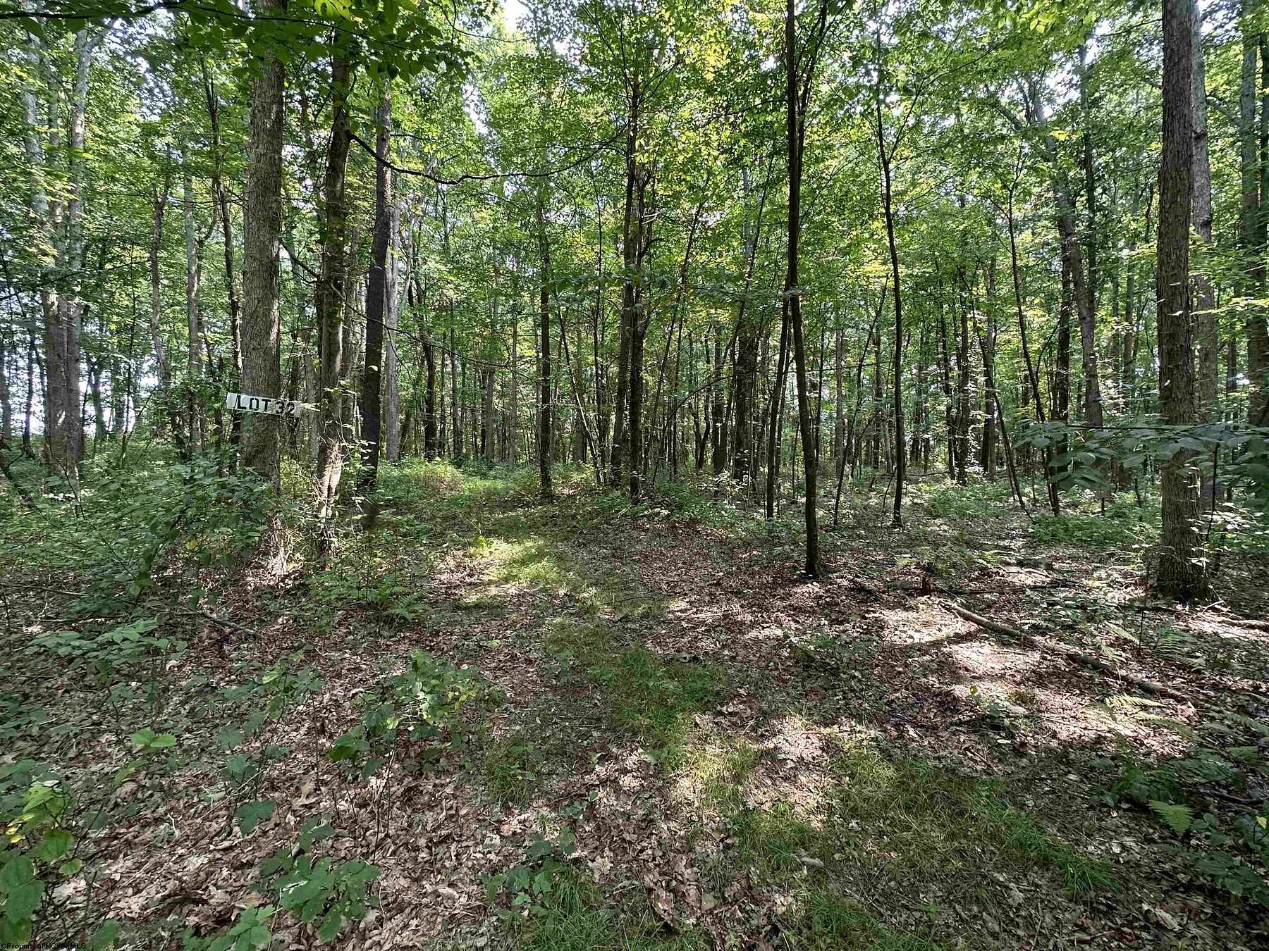 1.8 Acres of Residential Land for Sale in Albright, West Virginia