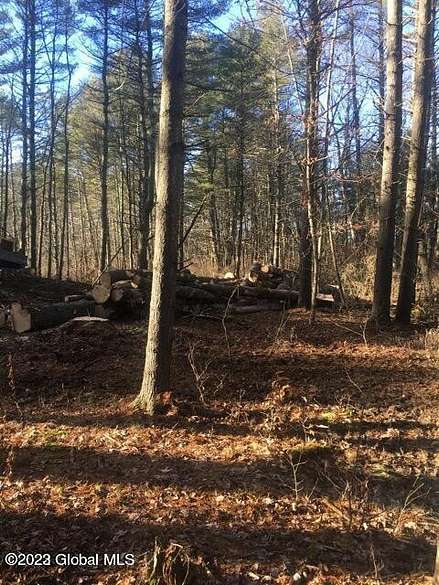 20 Acres of Recreational Land for Sale in Coxsackie, New York
