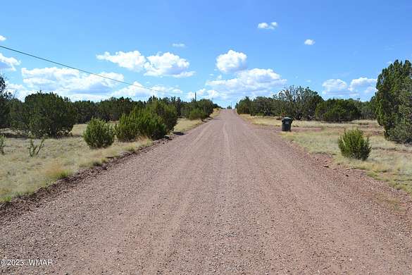 1.2 Acres of Residential Land for Sale in White Mountain Lake, Arizona
