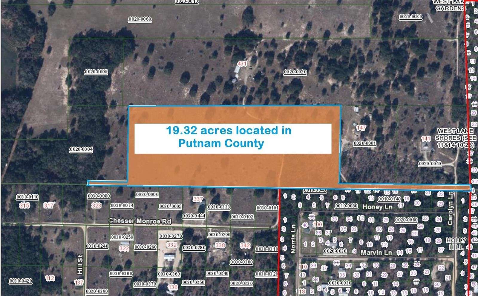 19.3 Acres of Land for Sale in Hawthorne, Florida