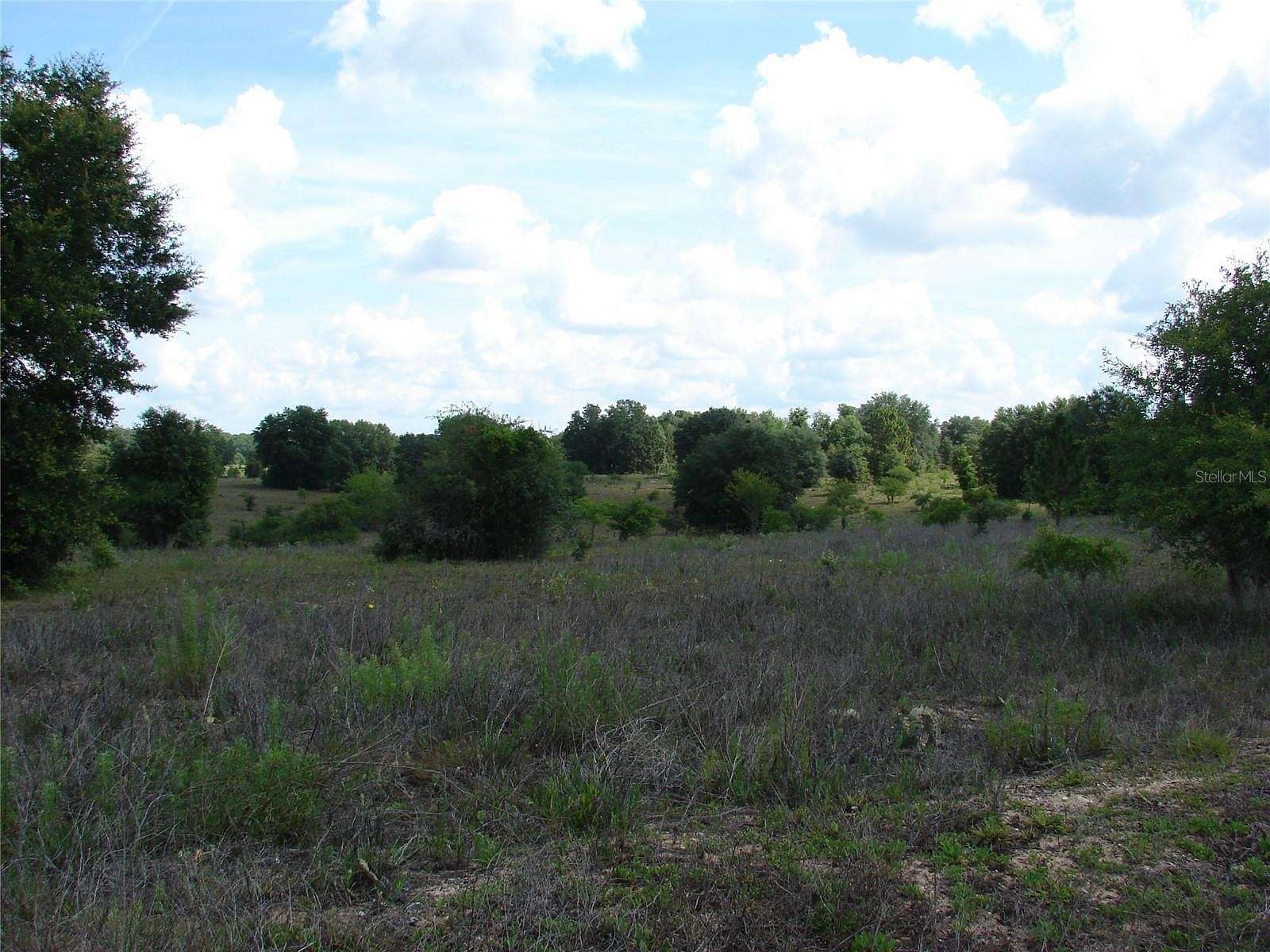 19.3 Acres of Land for Sale in Hawthorne, Florida