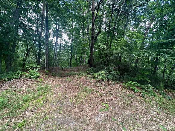 4.9 Acres of Land for Sale in Lake Lure, North Carolina
