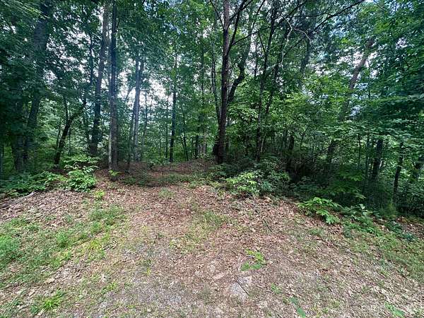 5 Acres of Land for Sale in Lake Lure, North Carolina