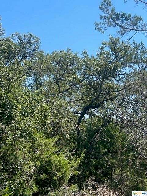 0.74 Acres of Residential Land for Sale in Canyon Lake, Texas