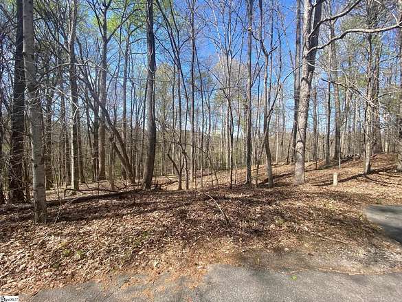 1 Acre of Residential Land for Sale in Laurens, South Carolina