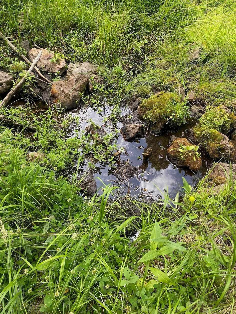 17.7 Acres of Land for Sale in Black Lake, New Mexico