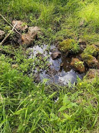 17.7 Acres of Land for Sale in Black Lake, New Mexico