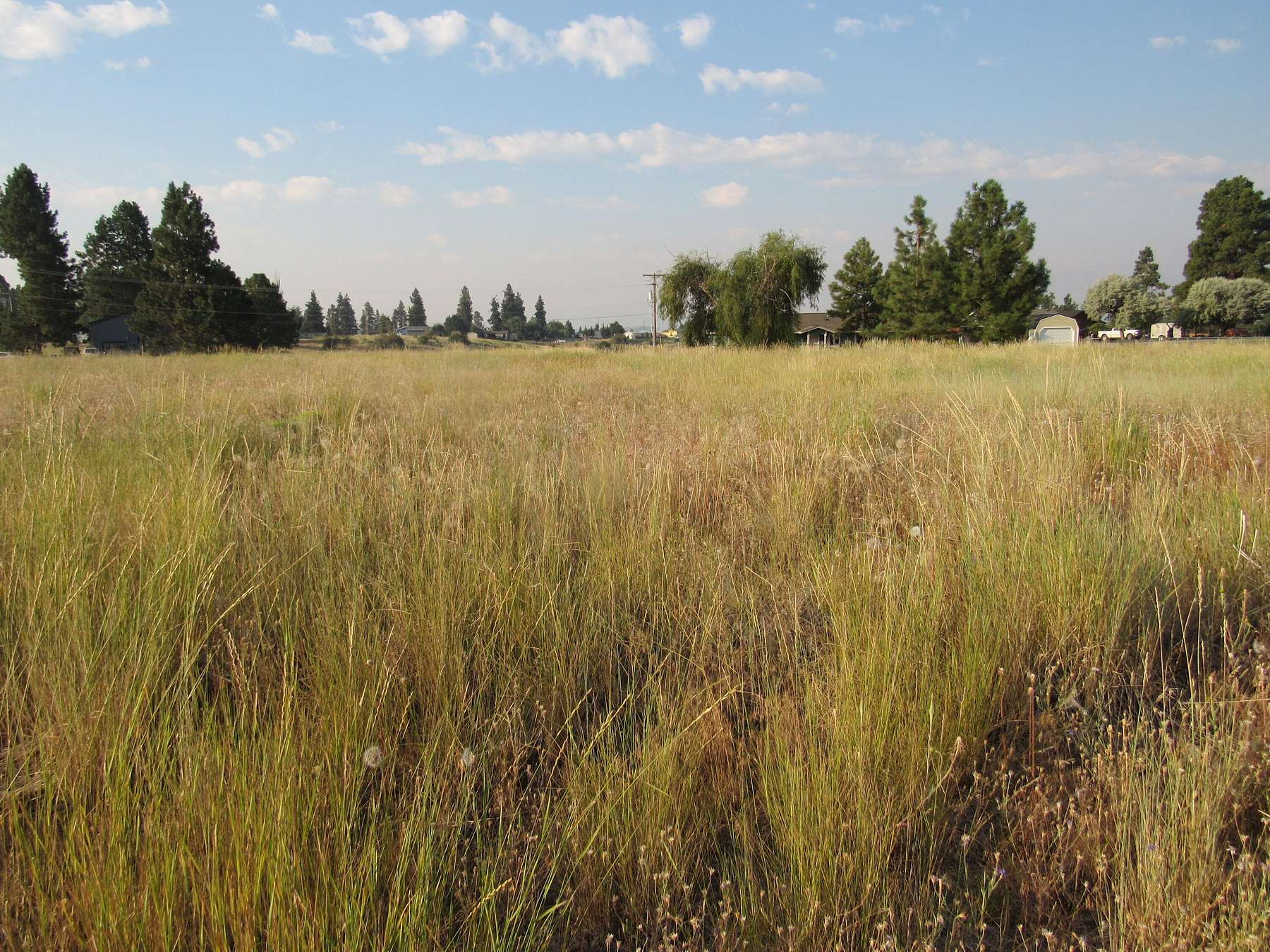 0.49 Acres of Residential Land for Sale in Chiloquin, Oregon