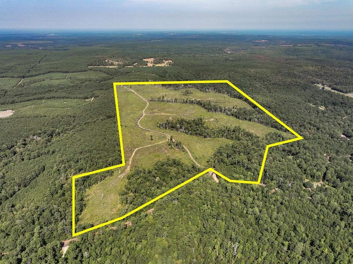188 Acres of Recreational Land for Sale in Colmesneil, Texas