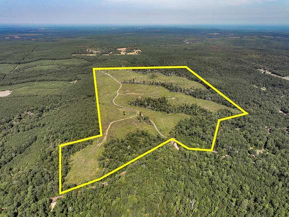 189 Acres of Recreational Land for Sale in Colmesneil, Texas