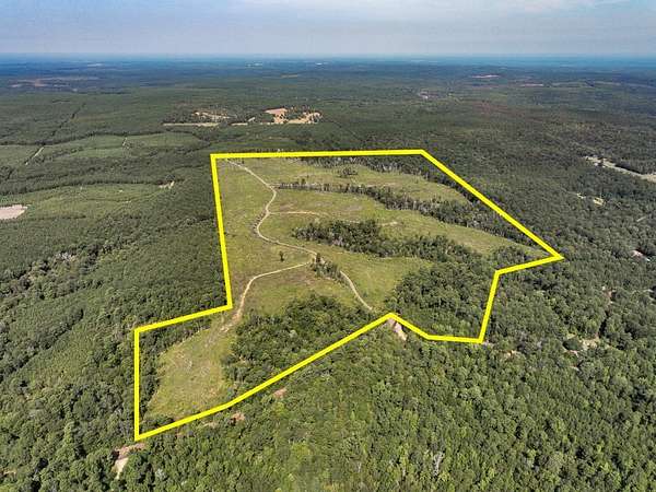 188 Acres of Recreational Land for Sale in Colmesneil, Texas