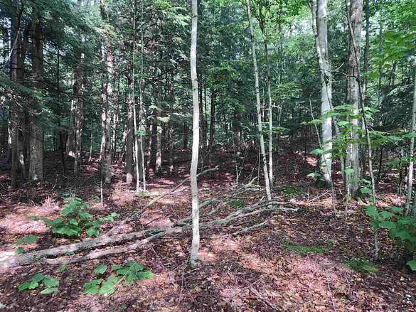 2 Acres of Residential Land for Sale in Eastport, Michigan
