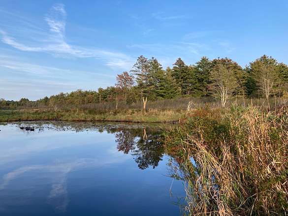 7 Acres of Recreational Land for Sale in Gray, Maine