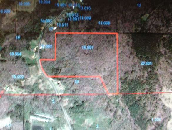 34 Acres of Land for Sale in Nauvoo, Alabama