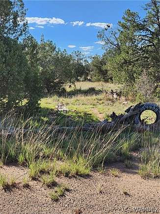 2 Acres of Land for Sale in Seligman, Arizona