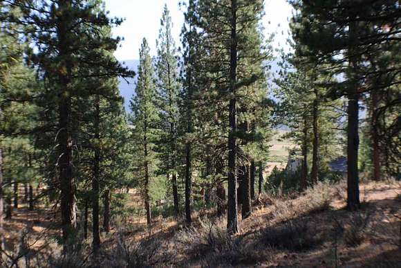 2.45 Acres of Residential Land for Sale in Clio, California