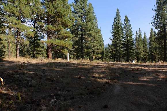 2.45 Acres of Residential Land for Sale in Clio, California