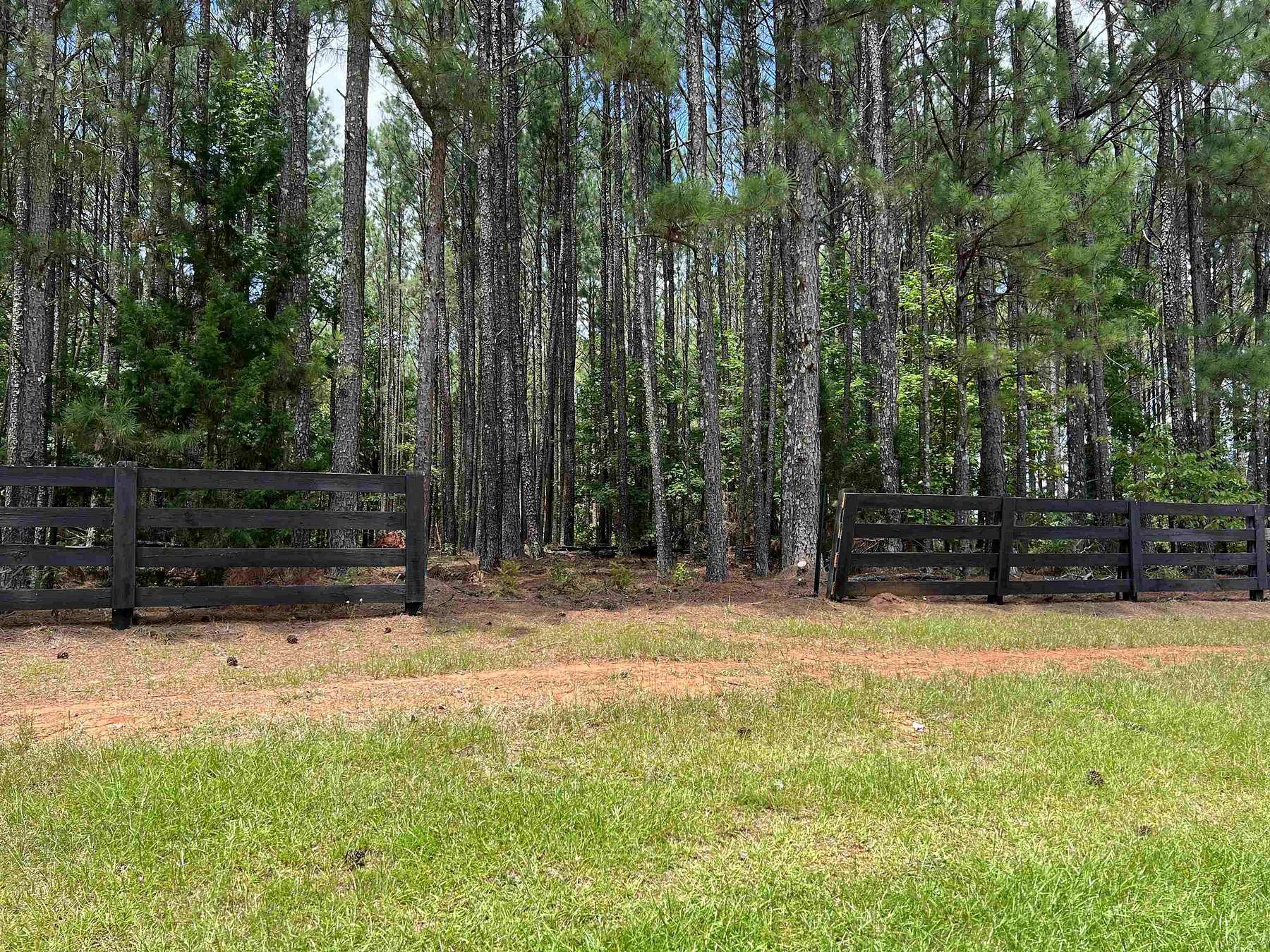 60 Acres of Land for Sale in Rutledge, Georgia