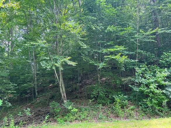 3.7 Acres of Residential Land for Sale in Waynesville, North Carolina