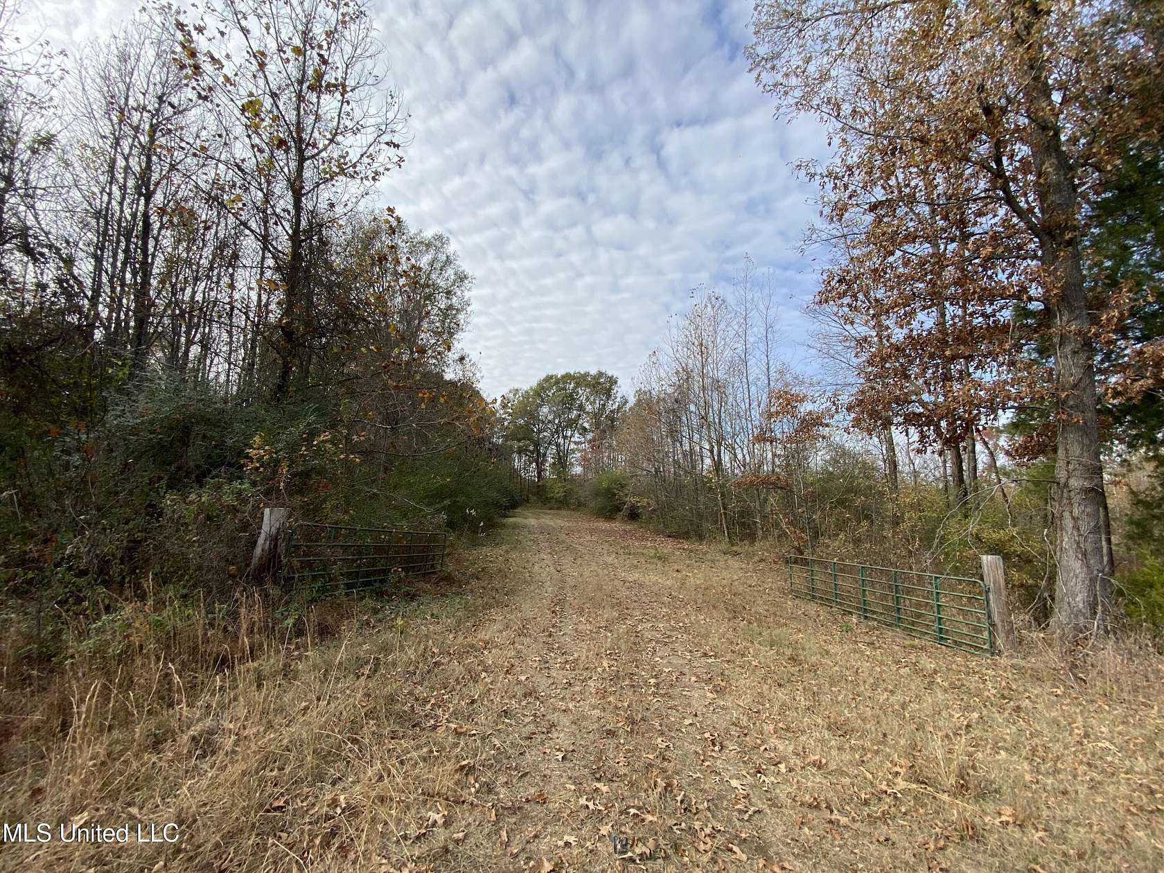 10.5 Acres of Land for Sale in Hernando, Mississippi