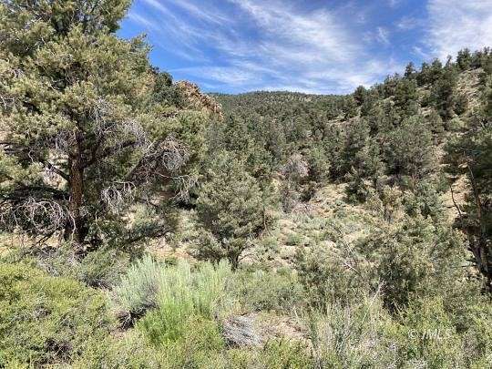 80 Acres of Land for Sale in Mono City, California
