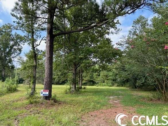 6.2 Acres of Residential Land for Sale in Andrews, South Carolina
