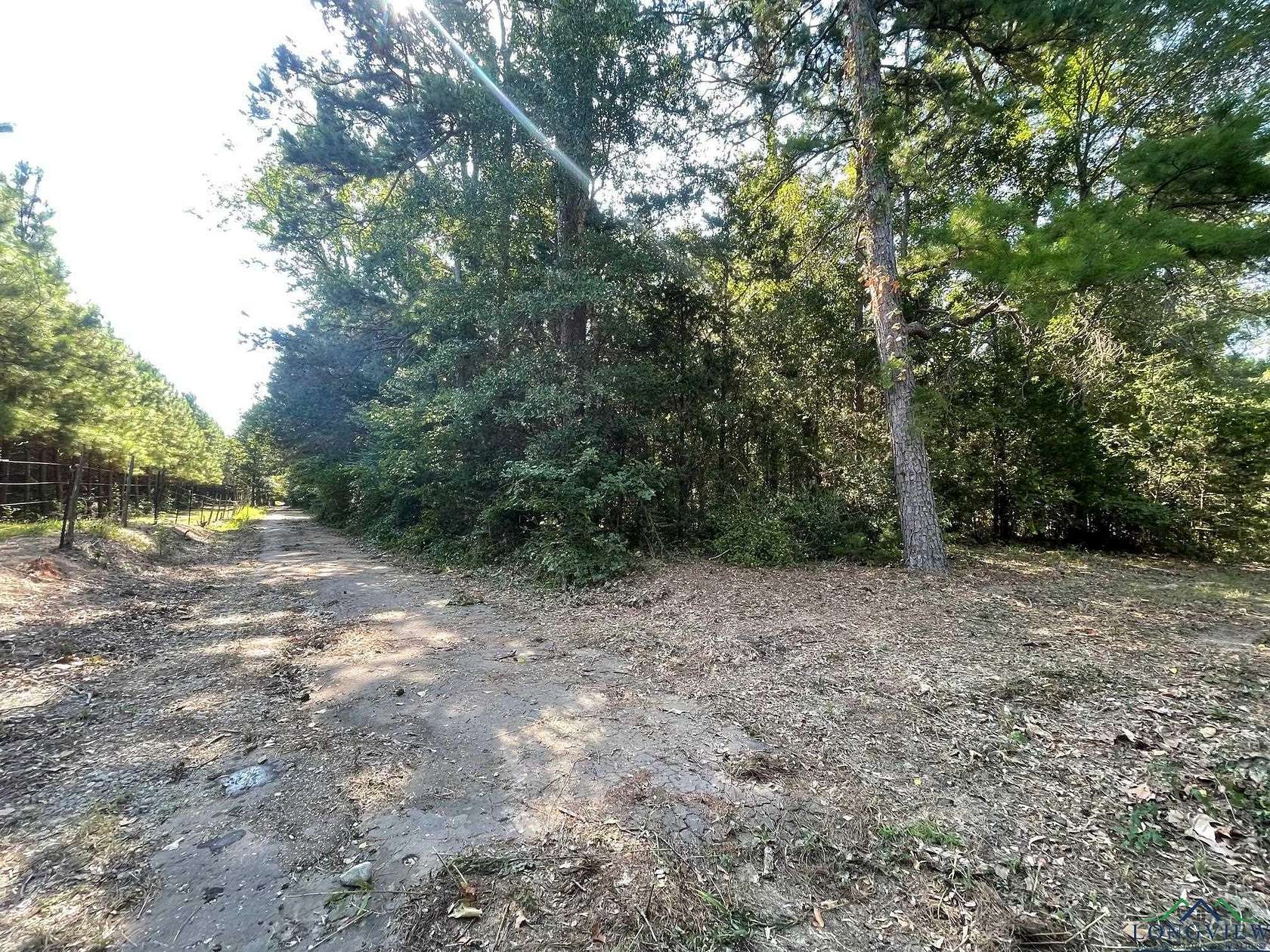 6 Acres of Land for Sale in Gilmer, Texas